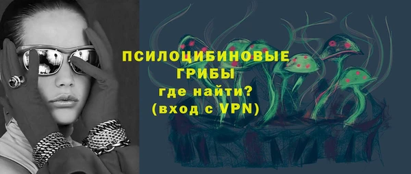 соль ск Лабытнанги