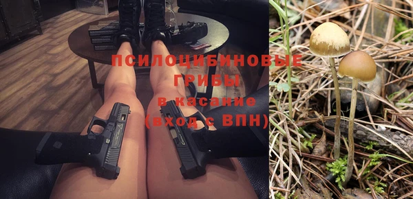 соль ск Лабытнанги
