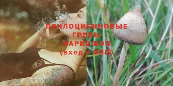 соль ск Лабытнанги