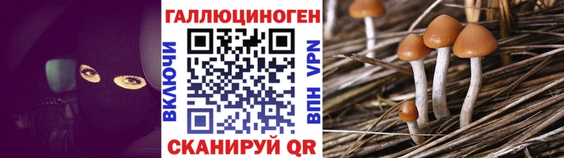 цена наркотик Тотьма Псилоцибиновые грибы мицелий